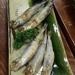 やまかん    - 白糠の柳葉魚いただけたよ～(上がメス、下がオス)