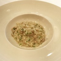 ソラメントゥーノ - ソラメントゥーノ♪
                  牡蠣のリゾット