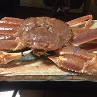 京都 吉兆 嵐山本店 - 津居山産 松葉蟹