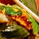 みかわ 是山居 - 