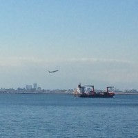 シンフォニー東京湾クルーズ - 