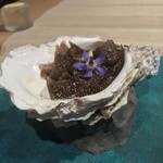 レヴォ - 〜岩牡蠣/コールラビ/トリュフ〜