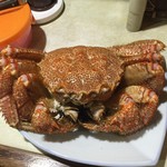 かっぱ鮨 - 
