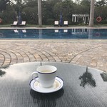 Palm Court Lobby Lounge - 