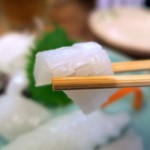 宵のひととき うまし - アオリイカうまし！