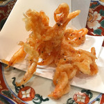 鮨松榮 - 駿河湾の桜海老