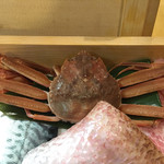 鮨松榮 - せこ蟹