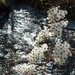 スイーツランベルセ - 千ヶ滝温泉付近