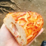 59496035 - ダッチフロマージュベーコン