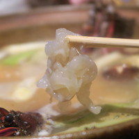 眞か SHINKA - 