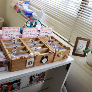 うさぎカフェ うさびび_0