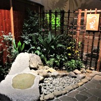 京都 つる家 - マリオットアソシア ホテル 18F の 京都つるや の 入口左側に在る 植栽です。