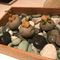 ルカンケ - 