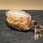 鮨 なかや - 車海老