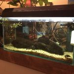 葡萄酒酒場なかなか - PizzeriaEnotecaNaca2:店内