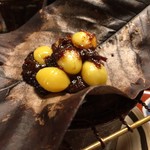 美山荘 - 銀杏アップ