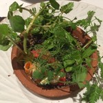 現代ガストロノミー 四匹の猫 - 発酵ピクルス