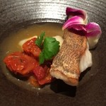 現代ガストロノミー 四匹の猫 - 発酵トマト