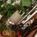 現代ガストロノミー 四匹の猫 - 発酵ピクルス