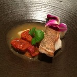 現代ガストロノミー 四匹の猫 - 発酵トマト