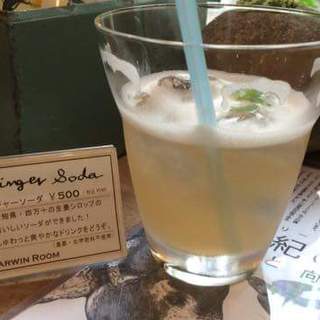 ダーウィンルーム_1