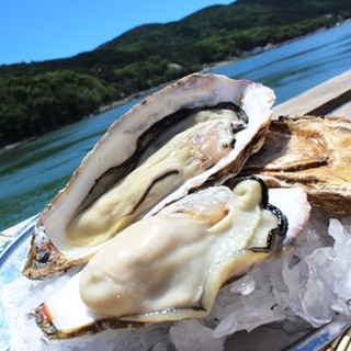 栄養価の高い「海のミルク」元気を出したい時に是非！