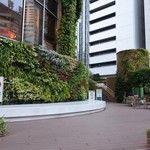バリラックス ザ ガーデン - Ⓑビルの外側からぐるっと回り込みます