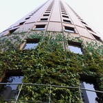 バリラックス ザ ガーデン - マルビル外観