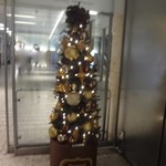 アマルフィイ・モデルナ - オアゾ・エントランスのところのミニクリスマスツリー