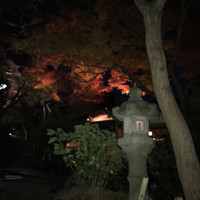 未在 - 