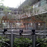 メゾン ポール・ボキューズ - 