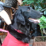 カフェ・ミケランジェロ - 2008/07 