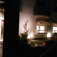 シトロニエ - 