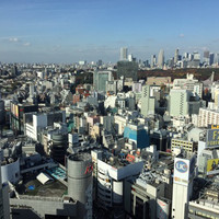 日本料理 旬彩 - 店内から見える景色