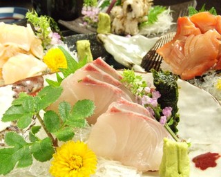 h Kanoya - 毎日市場で買い付ける鮮魚の刺盛りも愉しめる!!