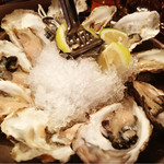 Oyster Bar ジャックポット - 