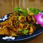 Kroon - ヤムサームクロップ