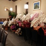 ステーキ なかお - 2016/11/29　いい肉の日オープン！！