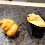 うに2種　バフンウニとムラサキウニ