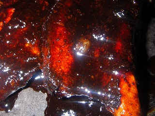 キキハウス（KI・KI-HOUSE） - 上盛岡（ヨーロッパ料理）の写真