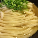 うどん 丸香 - 釜かけ（小）（アップ）