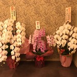 鮓と鉄板さくやま - お祝いの胡蝶蘭でいっぱいでした