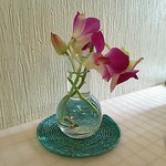 シバキ - テーブルの花