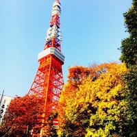 三田ばさら 本店 - 