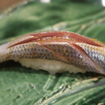 鮨 山浦 - 28年12月　小肌