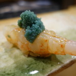 東麻布 天本 - ぼたん海老