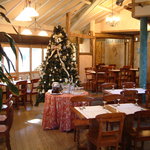 Pyrenees - クリスマスには大きなツリーが店内にお目見え