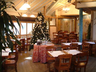 Pyrenees - クリスマスには大きなツリーが店内にお目見え