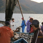 市ヱ門 - 市ヱ門の目の前の漁港で毎朝、魚が打ち上げられる！だから魚は新鮮で旨いのです。