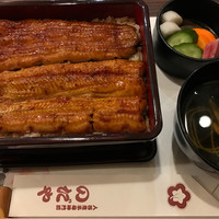 入谷鬼子母神門前のだや - 